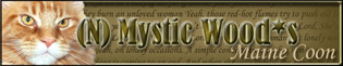 Link to Mystic Woods